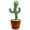 Cactus Baby Toys